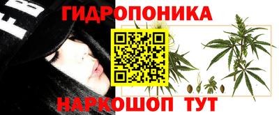 хмурый Конаково