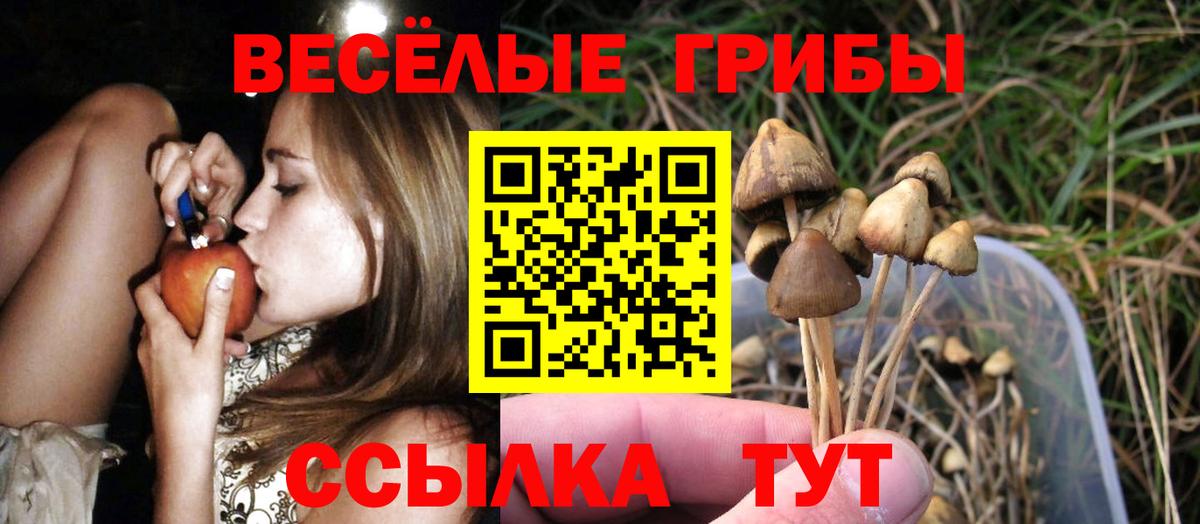 Псилоцибиновые грибы мухоморы Кольчугино