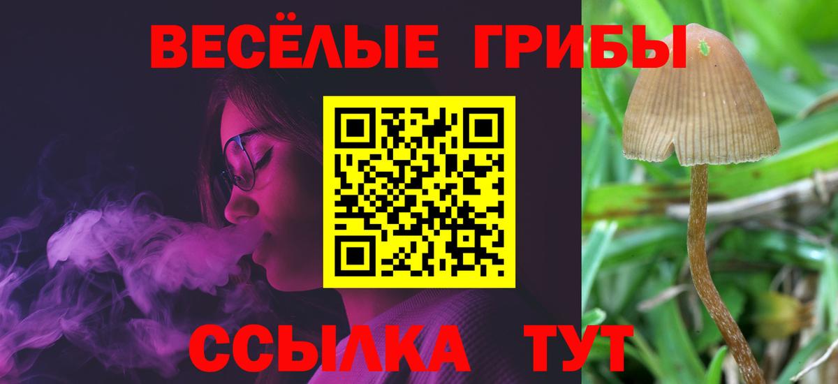 Псилоцибиновые грибы Psilocybine cubensis  Псилоцибиновые грибы Magic Shrooms  Вход с VPN  Кольчугино 